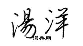 王正良湯洋行書個性簽名怎么寫