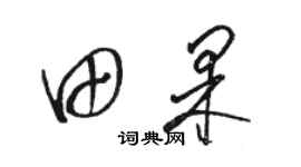 駱恆光田果草書個性簽名怎么寫