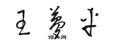 駱恆光王夢平草書個性簽名怎么寫