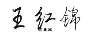 駱恆光王紅錦行書個性簽名怎么寫