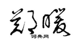 曾慶福鄭暖草書個性簽名怎么寫