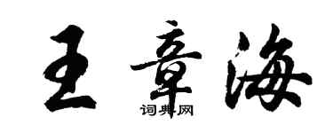 胡問遂王章海行書個性簽名怎么寫