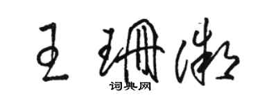 駱恆光王珊微草書個性簽名怎么寫