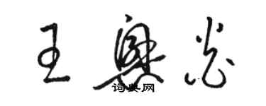 駱恆光王興炎草書個性簽名怎么寫