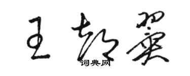 駱恆光王都翼草書個性簽名怎么寫