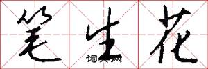 筆生花怎么寫好看