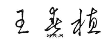 駱恆光王春植草書個性簽名怎么寫