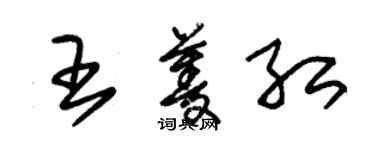 朱錫榮王菱紅草書個性簽名怎么寫