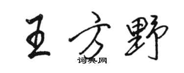 駱恆光王方野行書個性簽名怎么寫