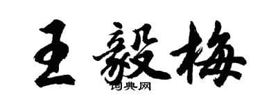 胡問遂王毅梅行書個性簽名怎么寫
