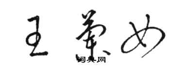 駱恆光王蘭女草書個性簽名怎么寫