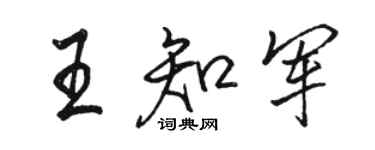 駱恆光王知軍行書個性簽名怎么寫