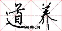 道養怎么寫好看