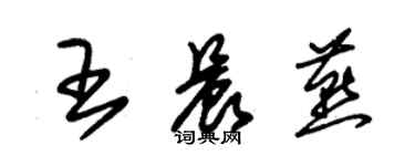 朱錫榮王晨燕草書個性簽名怎么寫