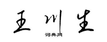 梁錦英王川生草書個性簽名怎么寫