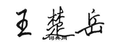 駱恆光王楚岳行書個性簽名怎么寫