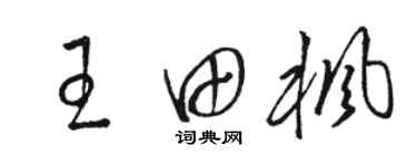 駱恆光王田楓草書個性簽名怎么寫