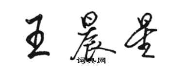 駱恆光王晨星行書個性簽名怎么寫