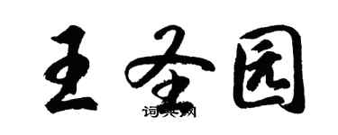 胡問遂王聖園行書個性簽名怎么寫