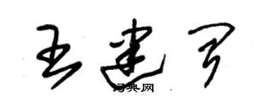 朱錫榮王建聞草書個性簽名怎么寫