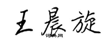 王正良王晨旋行書個性簽名怎么寫