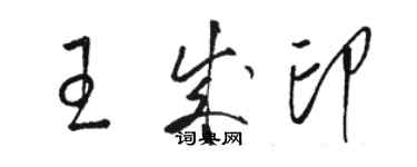 駱恆光王成印草書個性簽名怎么寫