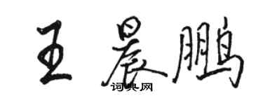 駱恆光王晨鵬行書個性簽名怎么寫