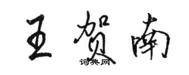 駱恆光王賀南行書個性簽名怎么寫