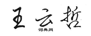 駱恆光王雲哲行書個性簽名怎么寫