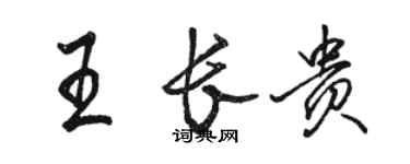 駱恆光王長貴行書個性簽名怎么寫