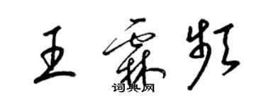 梁錦英王霖頻草書個性簽名怎么寫