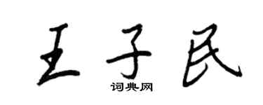 王正良王子民行書個性簽名怎么寫