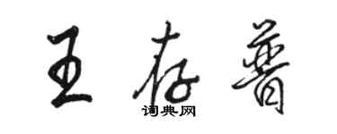 駱恆光王存普行書個性簽名怎么寫