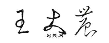 駱恆光王大農草書個性簽名怎么寫