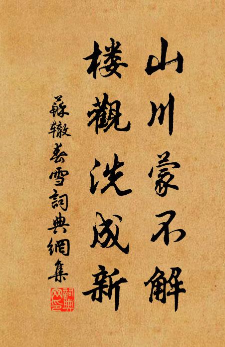 蘇轍山川蒙不解,樓觀洗成新書法作品欣賞