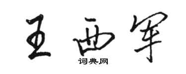 駱恆光王西軍行書個性簽名怎么寫