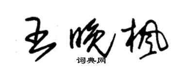 朱錫榮王晚楓草書個性簽名怎么寫