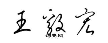 梁錦英王毅宏草書個性簽名怎么寫