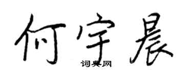 王正良何宇晨行書個性簽名怎么寫