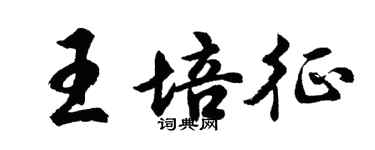 胡問遂王培征行書個性簽名怎么寫