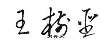 駱恆光王樹聖草書個性簽名怎么寫