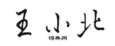 駱恆光王小北行書個性簽名怎么寫