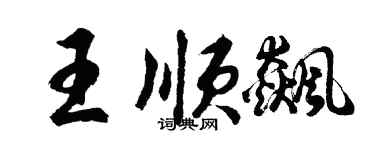 胡問遂王順飆行書個性簽名怎么寫