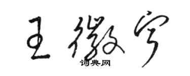 駱恆光王徽寧草書個性簽名怎么寫