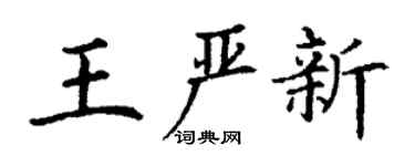 丁謙王嚴新楷書個性簽名怎么寫