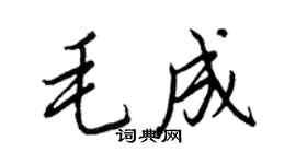 王正良毛成行書個性簽名怎么寫