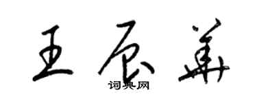 梁錦英王辰華草書個性簽名怎么寫