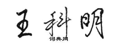 駱恆光王科明行書個性簽名怎么寫