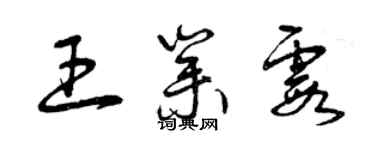 曾慶福王業霞草書個性簽名怎么寫