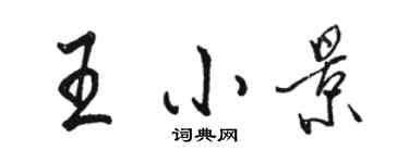 駱恆光王小景行書個性簽名怎么寫